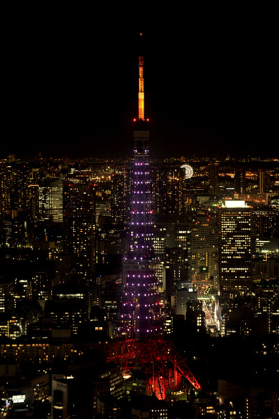 センター試験前夜の受験生をキットカット×東京タワーが応援！東京の夜がサクラ色に！