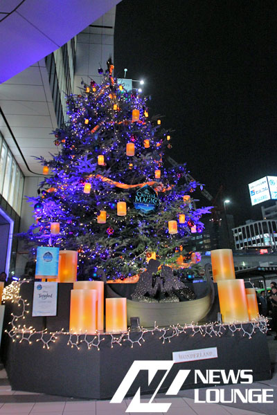中村アン 寒風の中、背中まる見えノースリーブのセクシードレスでクリスマスツリー点灯式！