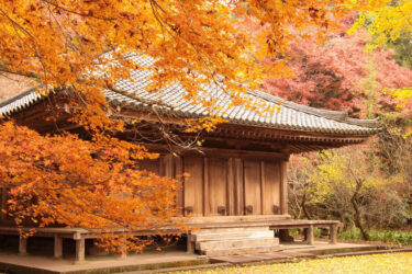 【大分県】秋の紅葉情報！歴史と自然を堪能できる静寂な紅葉スポット