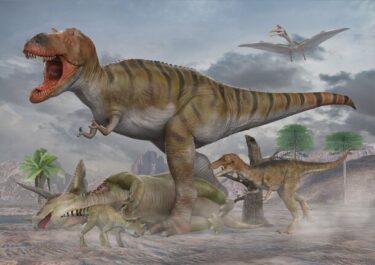 オダイバ恐竜博覧会2024にダイナソーベースが出店！恐竜好き必見の体験と商品を提供！
