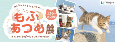 「もふあつめ展 in にゃにゃぽーとTOKYO-BAY」を2/9から開催　一般公募の飼い猫写真展示や、POP-UPストアも実施