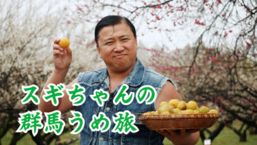 【群馬県】スギちゃん 群馬の梅農家、梅加工会社を旅する動画をYouTubeで公開