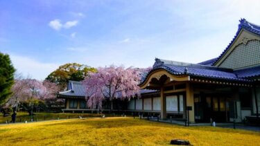 醍醐寺で春の特別拝観『清瀧権現桜会』を開催