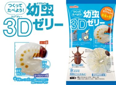 大きさ、重さ、実物大！？「つくってたべよう！幼虫3Dゼリー」2024年3月4日(月)新発売！