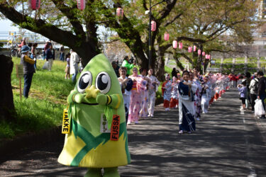福生市にて「第41回ふっさ桜まつり」が3月23日(土)から開催！5年ぶりとなる夜間の桜のライトアップも実施