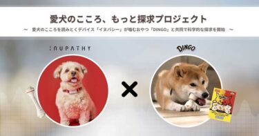 愛犬の心理を探究する「イヌパシー」プロジェクト始動！─「DINGO」とのコラボで新たな探求を開始