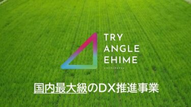 愛媛県がトライアングルエヒメ推進事業「デジタル実装加速化プロジェクト」の 令和6年度募集を開始