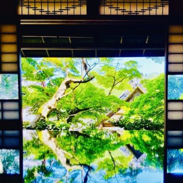 【新緑ウィーク】京都「柳谷観音」で心と自然を満たす特別なイベント開催！