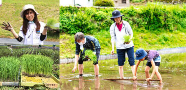 株式会社ネオナチュラルが岐阜県で「田植え体験会」と「善玉菌リトリート施設HOLY FUNGUS」のオープニングイベントを同時開催