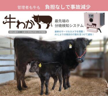 牛の分娩検知システム「牛わか」レンタルプランを2024年4月より数量限定で開始
