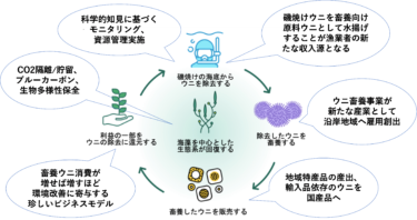 磯焼け対策を目的とした北海道におけるウニ畜養事業に関する連携協定の締結について