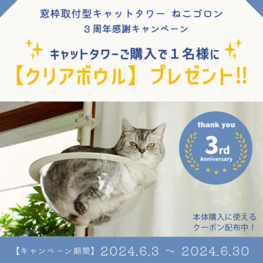 窓枠に取り付けができるキャットタワー「ねこゴロン」購入者限定プレゼントキャンペーンを6月3日に開催