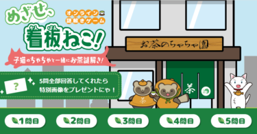 日本茶をもっと身近にするオンライン謎解きゲーム『めざせ、看板ねこ！ ～子猫のちゃちゃと一緒にお茶謎解き！～』8/1に公開！お茶の知識は不要・ひらめき重視の謎解きゲーム