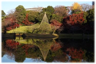 特別名勝・特別史跡の小石川後楽園、紅葉と日本文化を堪能する秋の特別イベントを開催